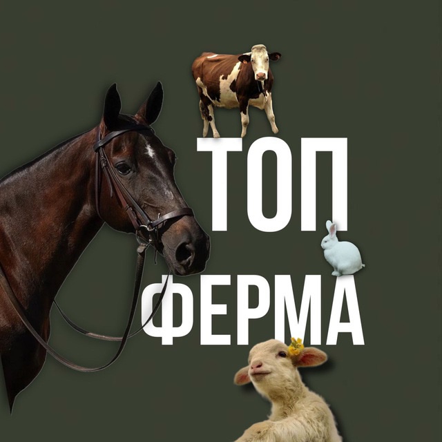 Топ ферма🍯